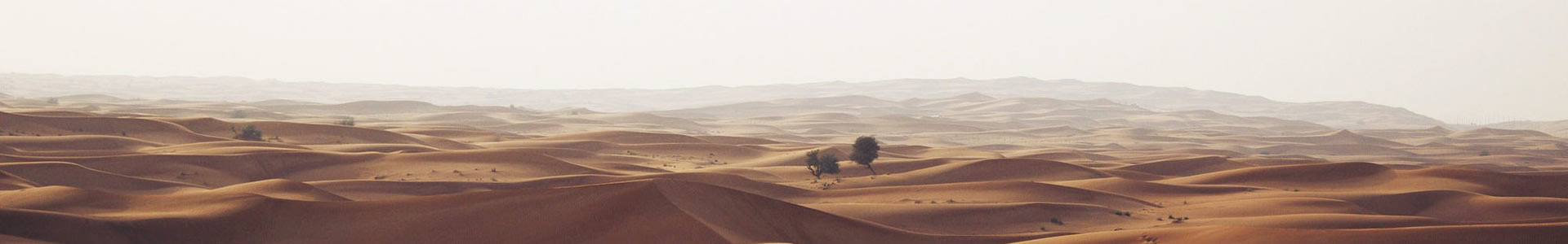 طе޹˾